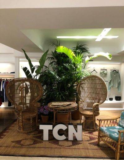 renting de plantas