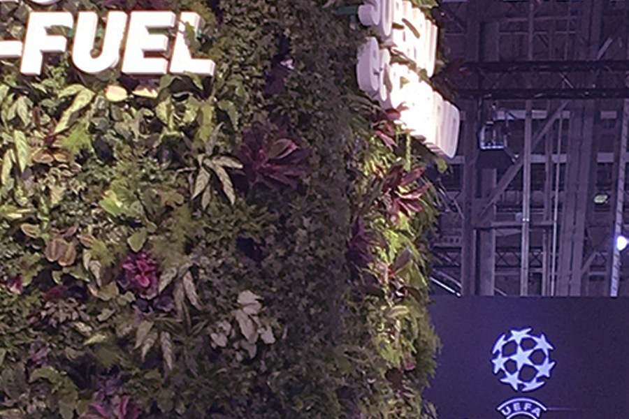 alquiler plantas eventos