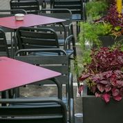 jardineres per a hostaleria